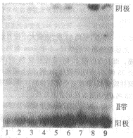 01.gif (11986 bytes)