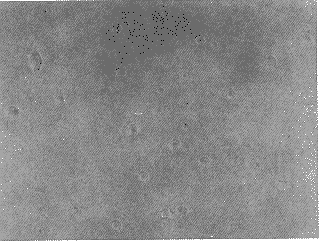 t817-1.gif (19122 �ֽ�)