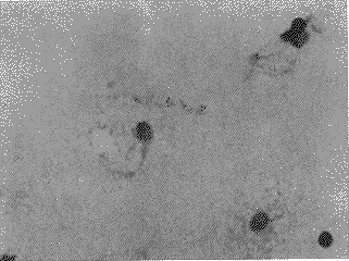 t817-3.gif (16463 �ֽ�)