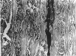 t817-4.gif (22538 �ֽ�)