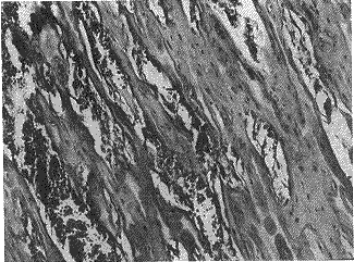 t817-5.gif (22032 �ֽ�)