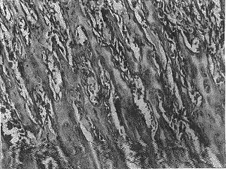 t817-6.gif (22490 �ֽ�)