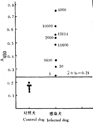 ϸ�������г�|Ȯ|���Ƽ�|�࿹ԭ|˫�������ELISA/�࿹ԭ��ⷨ���Ȯϸ�������г��Ⱦ���о�*��.�࿹ԭ���������ԡ������Լ�ʵ���ȾȮ�ų��࿹ԭ�Ķ�̬�۲�/DIAGNOSISOFECHINOCOCCUSGRANULOSUSINFECTIONINDOGS/WITHCOPROANTIGENDETECTION/��.INVESTIGATIONONSENSITIVITY,SPECIF