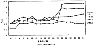 ϸ�������г�|Ȯ|���Ƽ�|�࿹ԭ|˫�������ELISA/�࿹ԭ��ⷨ���Ȯϸ�������г��Ⱦ���о�*��.�࿹ԭ���������ԡ������Լ�ʵ���ȾȮ�ų��࿹ԭ�Ķ�̬�۲�/DIAGNOSISOFECHINOCOCCUSGRANULOSUSINFECTIONINDOGS/WITHCOPROANTIGENDETECTION/��.INVESTIGATIONONSENSITIVITY,SPECIF