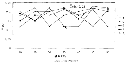 ϸ�������г�|Ȯ|���Ƽ�|�࿹ԭ|˫�������ELISA/�࿹ԭ��ⷨ���Ȯϸ�������г��Ⱦ���о�*��.�࿹ԭ���������ԡ������Լ�ʵ���ȾȮ�ų��࿹ԭ�Ķ�̬�۲�/DIAGNOSISOFECHINOCOCCUSGRANULOSUSINFECTIONINDOGS/WITHCOPROANTIGENDETECTION/��.INVESTIGATIONONSENSITIVITY,SPECIF