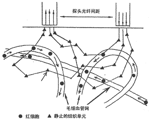 185.1.gif (7054 bytes)