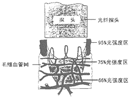 186.1.gif (5909 bytes)