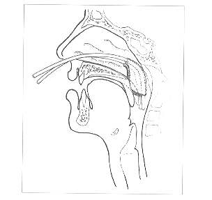 t53804.gif (9432 bytes)