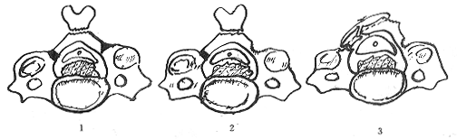 07.gif (23798 bytes)