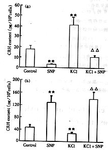 drjy4-21.gif (12360 bytes)
