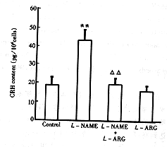 drjy4-22.gif (7217 bytes)