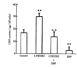 drjy4-23.gif (5819 bytes)