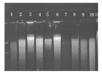 t17801.gif (6600 bytes)