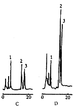 t666-2.gif (2124 bytes)