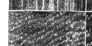 t614-5.gif (17308 bytes)