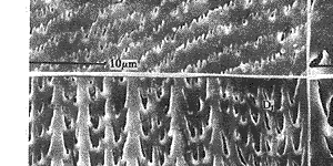 t614-7.gif (13882 bytes)