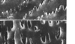 t614-8.gif (10123 bytes)