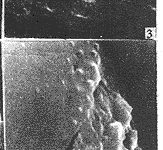 t619-4.gif (6191 bytes)