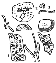 t586-1.gif (5730 bytes)