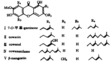 f5-01a.gif (5352 bytes)