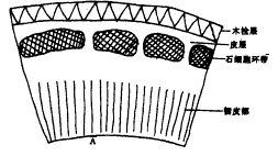 466-01a.gif (5308 bytes)