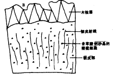 466-01b.gif (4272 bytes)