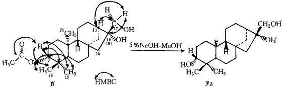 405-02.gif (6943 bytes)