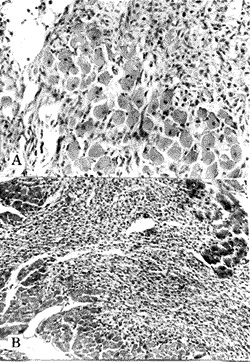 206-02.gif (28947 bytes)