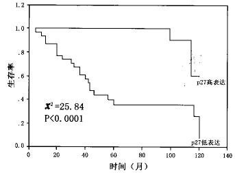 t24101.gif (3218 字节)