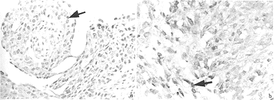 t369-1.gif (17480 bytes)