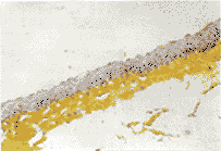 49-3.gif (5196 bytes)