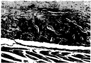 t357b.gif (8387 bytes)