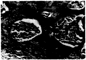 t357c.gif (6688 bytes)