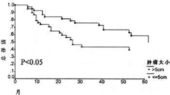 17-1.gif (14257 bytes)