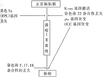 535-1.gif (4588 �ֽ�)