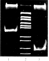 29-3..gif (14781 bytes)