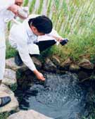 ��ˮ����Ԥ��������Ⱦ��//