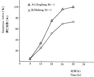 142-2.gif (3748 bytes)