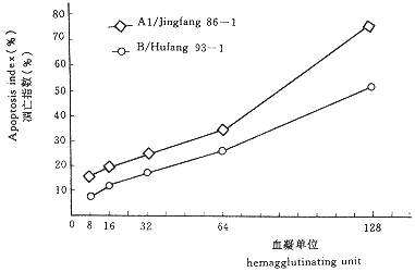 142-3.gif (4001 bytes)