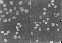 144-2.gif (9850 bytes)