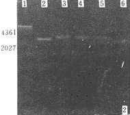 165-2.gif (7723 bytes)