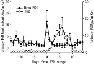 0202.gif (6359 bytes)