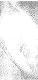 t30-02.gif (2102 bytes)