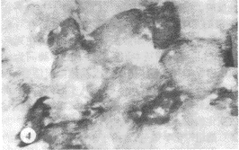 103-4.gif (13893 bytes)