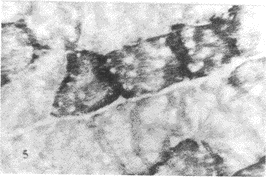 104.gif (14967 bytes)