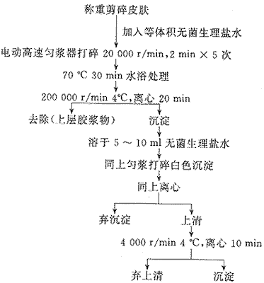 24-1.gif (7136 bytes)