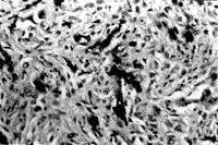 0903.gif (12551 bytes)