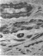 t41-1.gif (6677 �ֽ�)