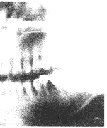 t42-9.gif (3585 �ֽ�)