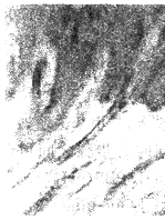 t42-1.gif (6422 �ֽ�)